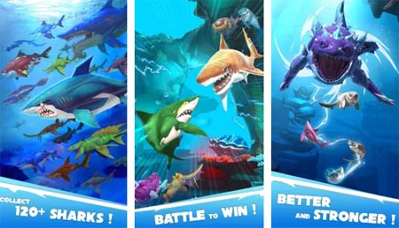 hungry shark world switch guide